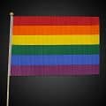 12" x 18" Rainbow Flag