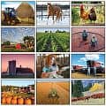 Farm Life Appointment Calendar