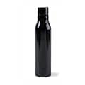 Sidney Double Wall Stainless Bottle - 17 Oz.