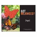 Save the Monarchs - Seed Paper Shape Postcard