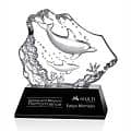 Ottavia 2 Dolphins Award