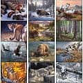 Spiral Wildlife Canvas 2022 Appointment Calendar