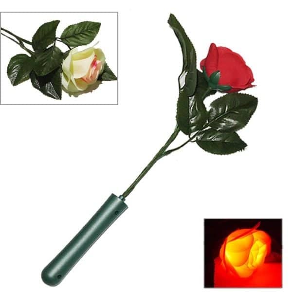 LED Recording Rose