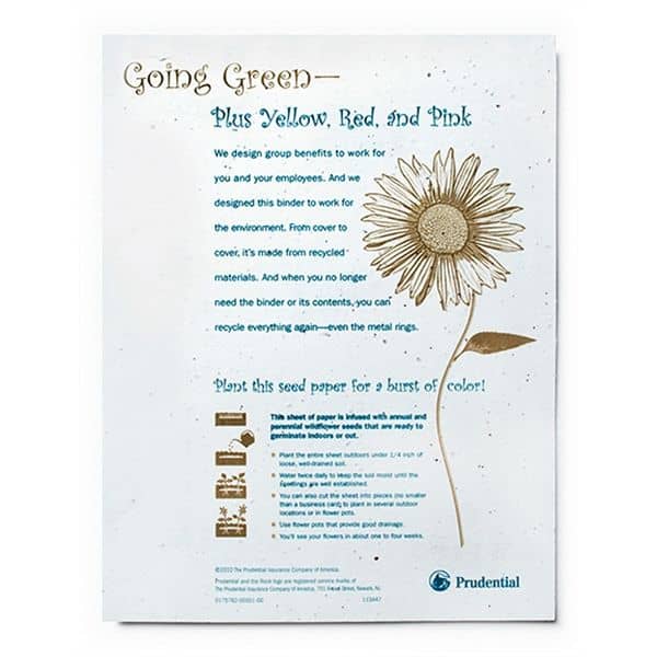 Seed Paper Flyer