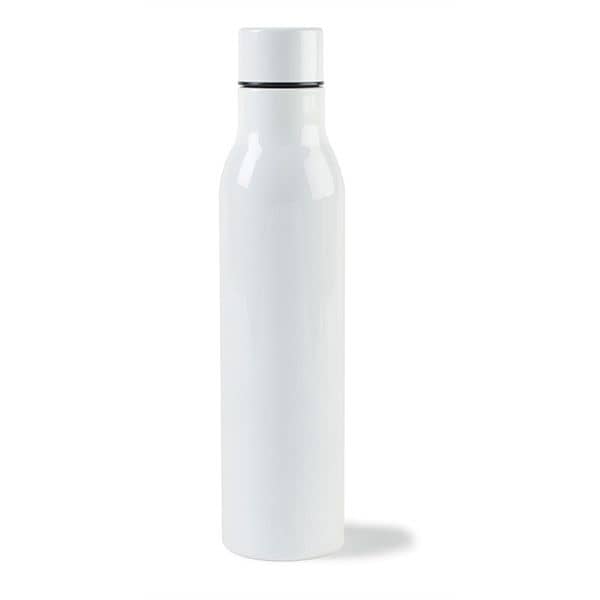Sidney Double Wall Stainless Bottle - 17 Oz.