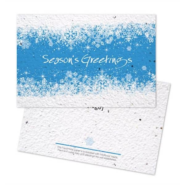Holiday Seed Paper Postcard