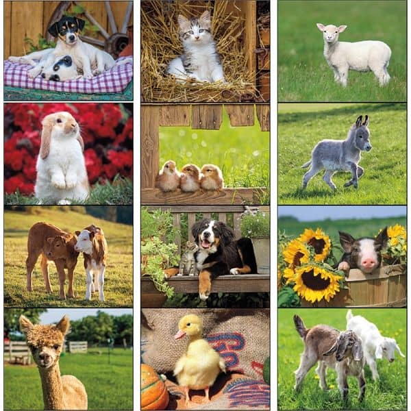 Spiral Baby Farm Animals Lifestyle 2022 Appointment Calendar