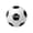 Full Size Soccer Ball