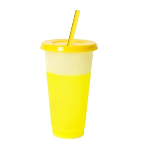 Reusable Color Changing Plastic Cups W/Lid And Straws