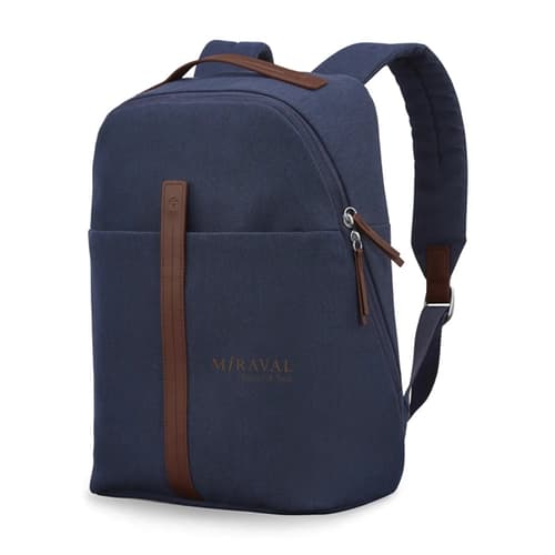 Samsonite Virtuosa Backpack and Carry On