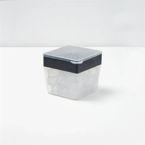 W&P Mini Ice Cube Box