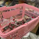 25L Plastic Retail Shopping Baskets with Handles