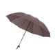 Business Umbrella