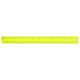Plastic Colored Transparent Rulers