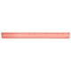 Plastic Colored Transparent Rulers